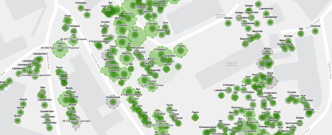 A screenshot showing mapping of trees on campus.